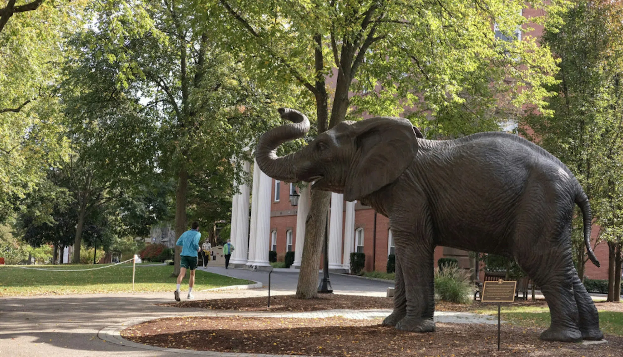 Jumbo the elephant statue on the academic quad 