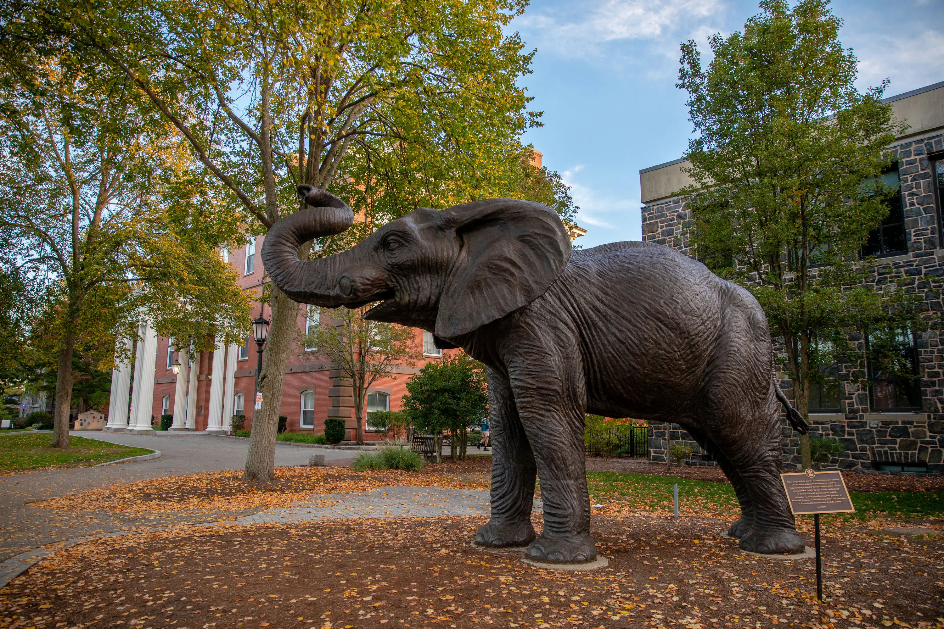 Jumbo's statue on the Academic Quad