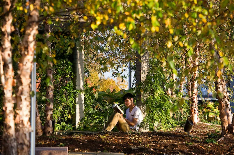 Reading in the rooftop garden 