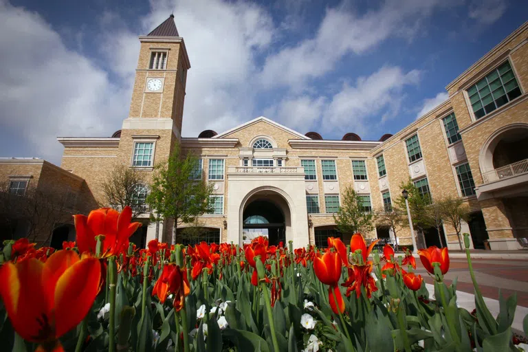 Tulips in front of the Brown Lupton University Union