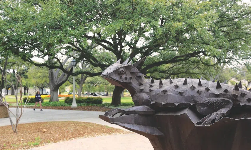 Rub the nose of the horned frog statue before a test for good luck