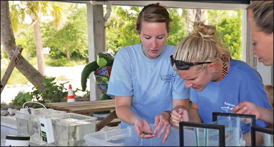 students studying specimen