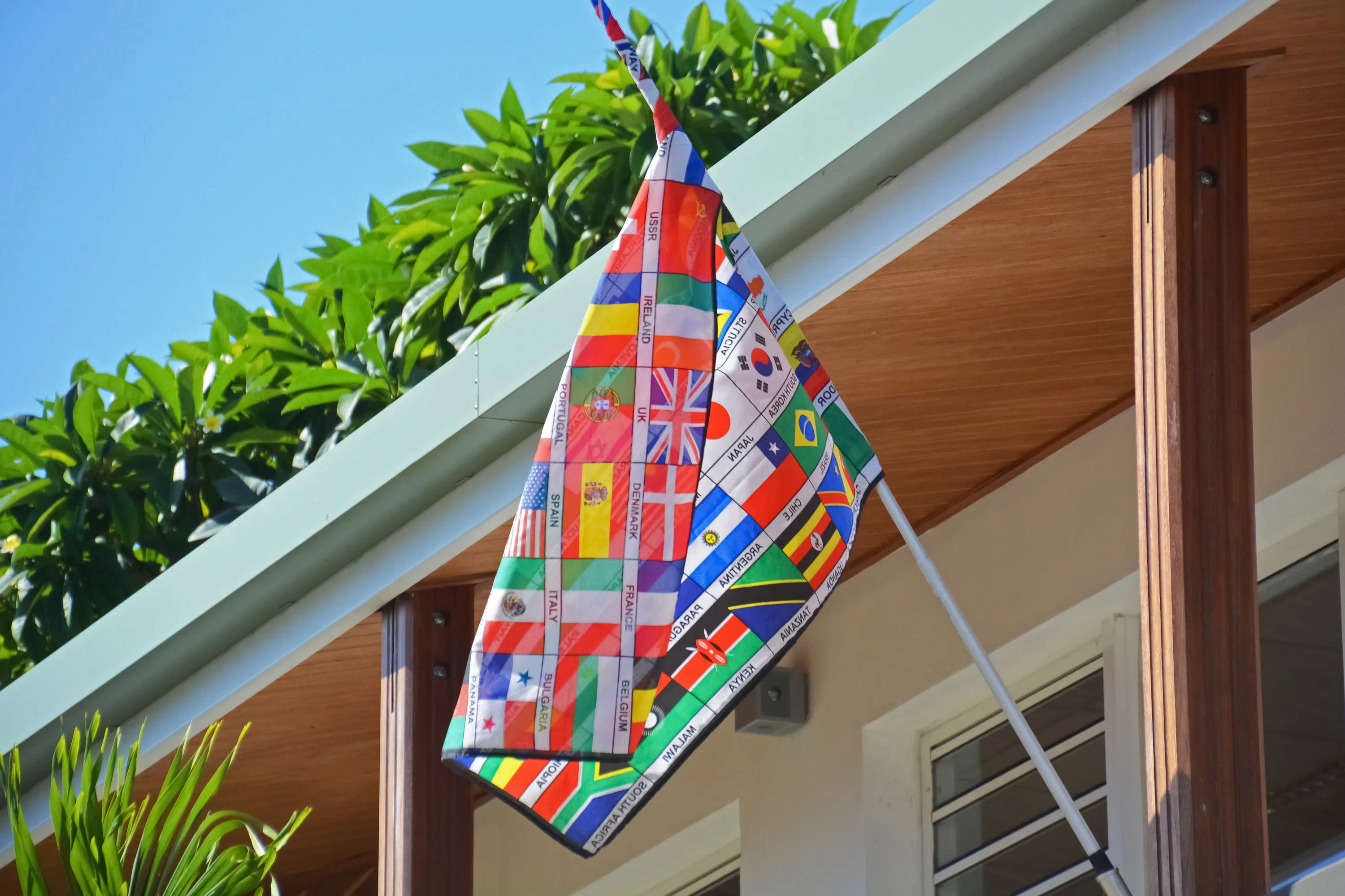 Flag with mini country flags on it