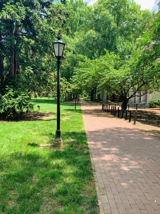 The Winsford University Quad - lamppost, trees and walkway.