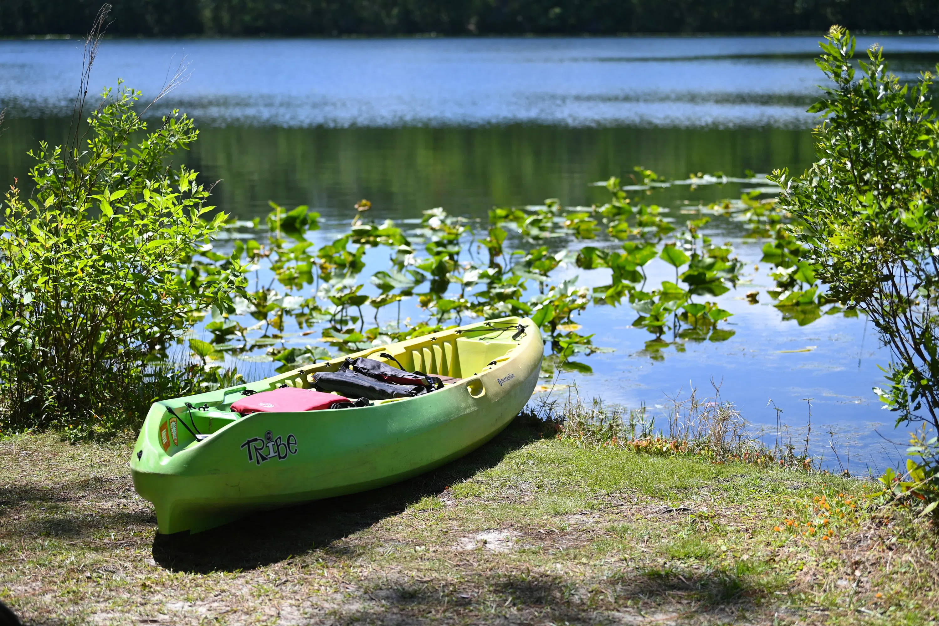 Kayak on the edge of the lake