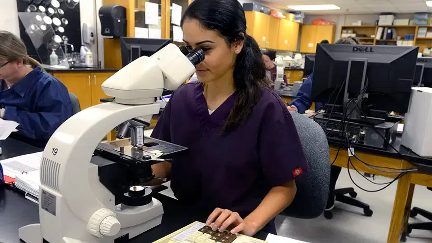 Female student using microscope in a biology lab.
