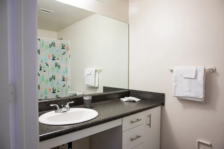 Village West Bathroom