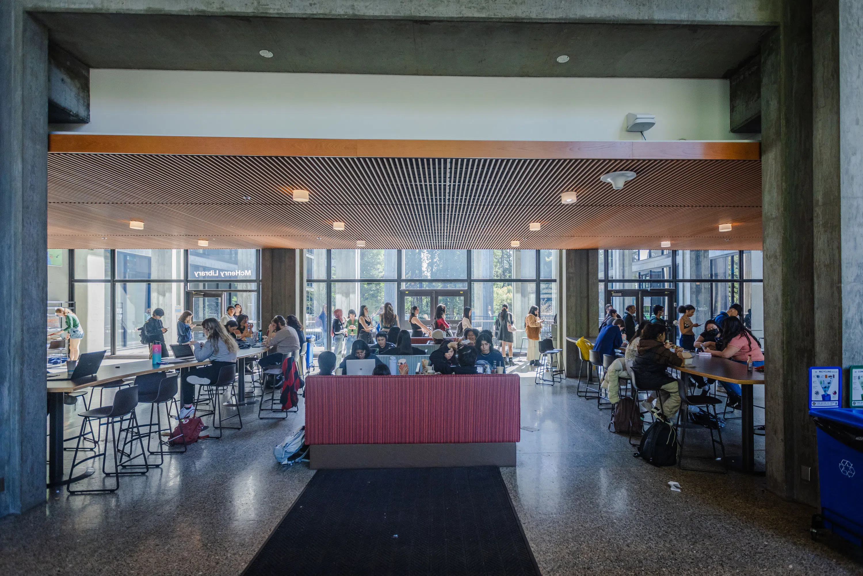 Students study and eat in the library