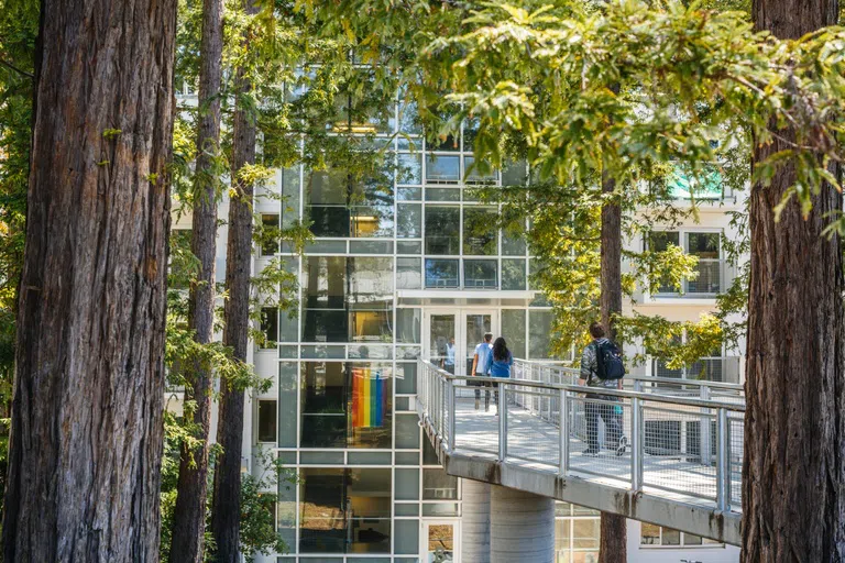 A bridge and building in the redwoods at Merrill College