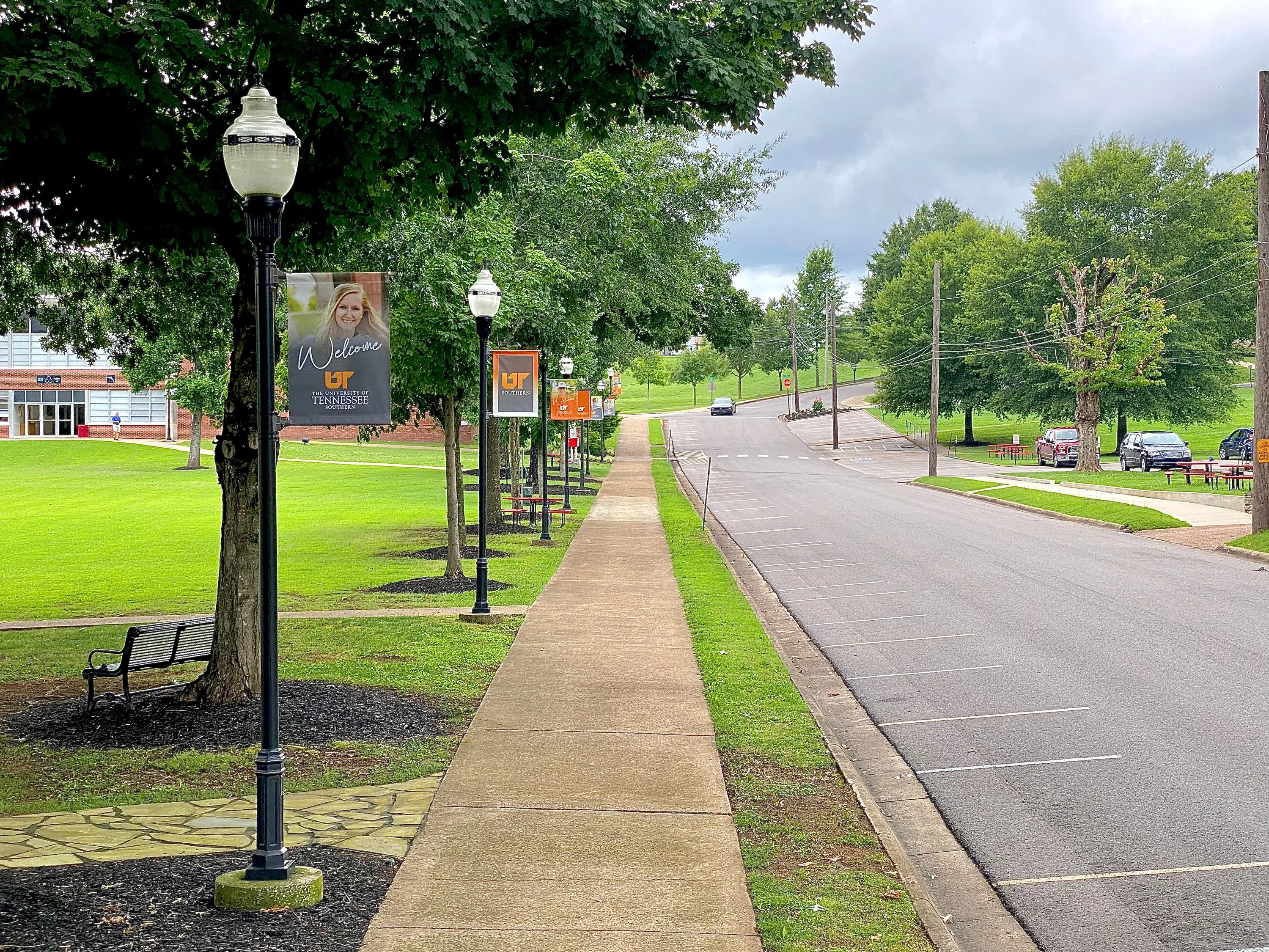 Tree lined street and sidewalks near Campus Green