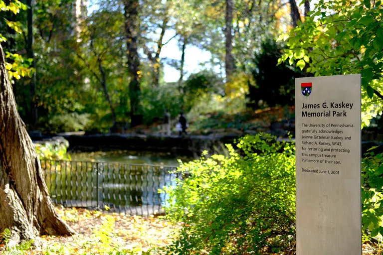 The Biopond 