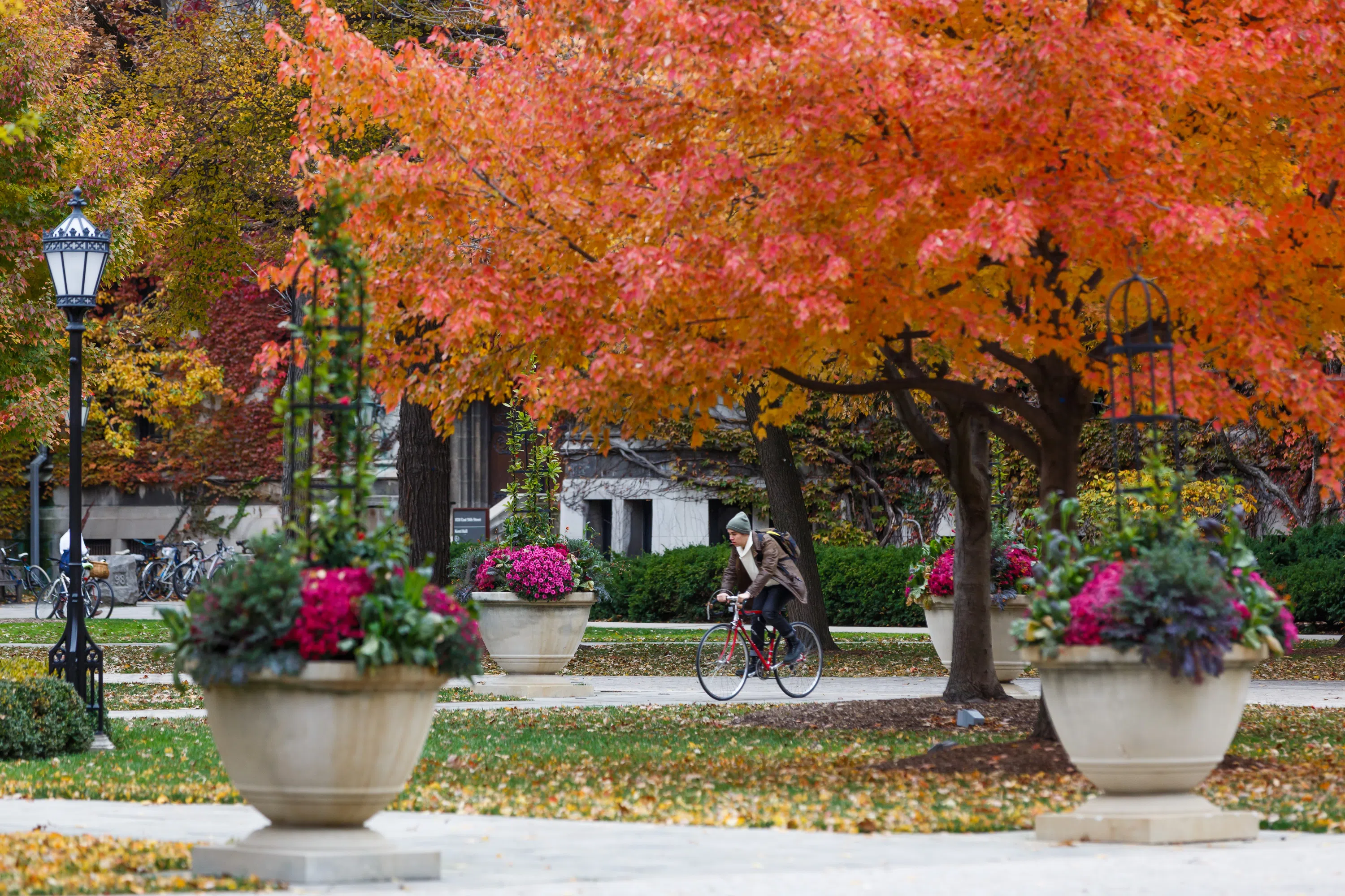 campus in the fall with orange leaves on trees