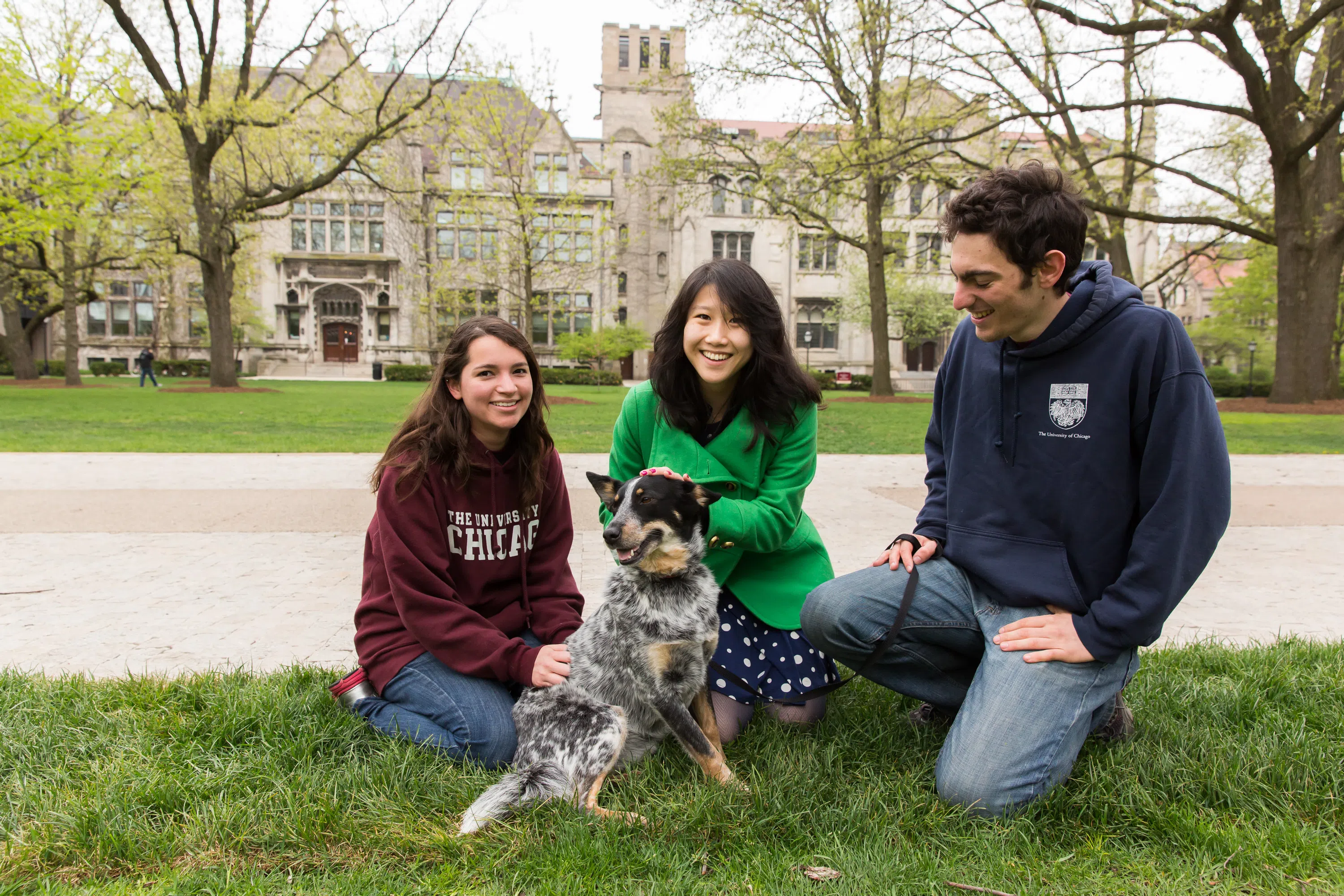 3 students kneel outside on the quad in a group, petting a dog