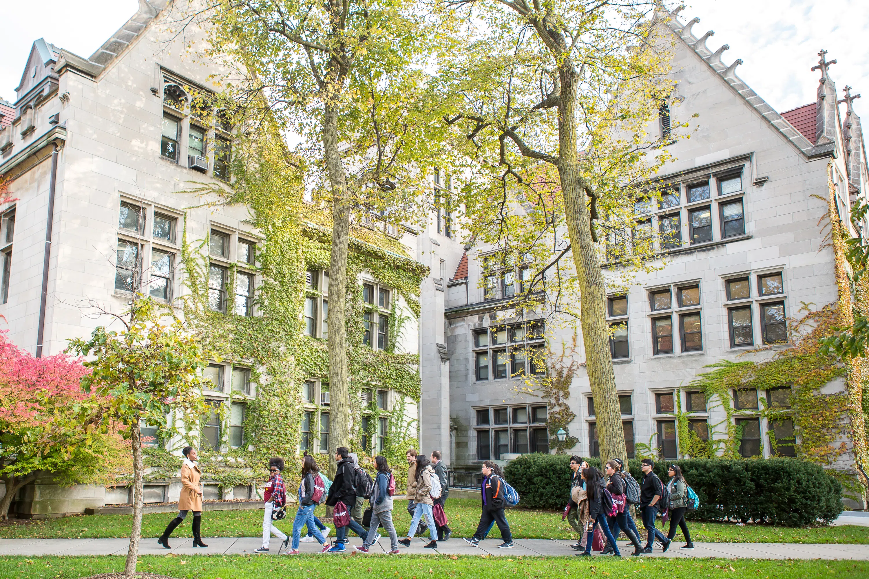 a group of people follow a tour guide outdoors for a tour of campus