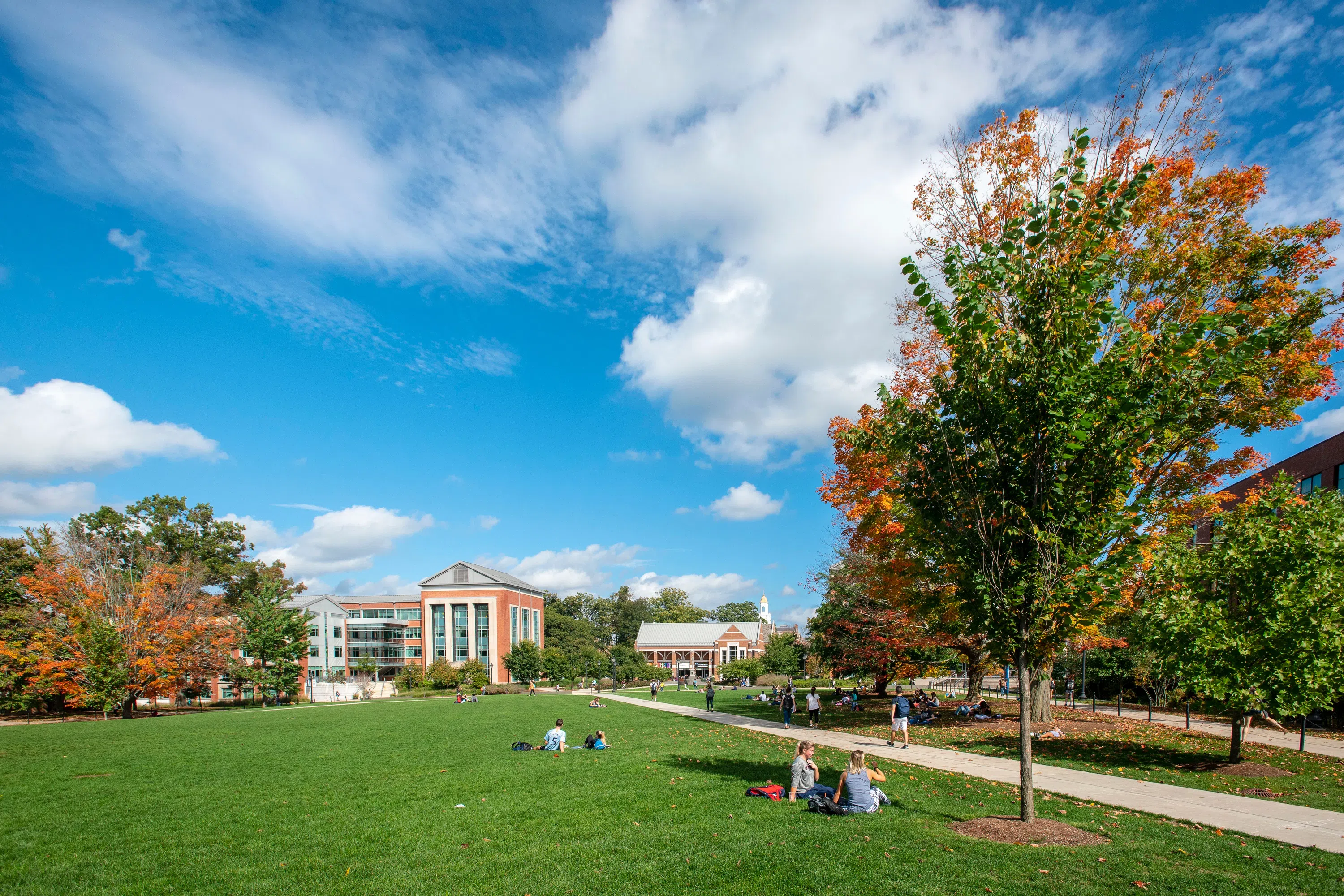 Students sitting on the grass on the student union quad