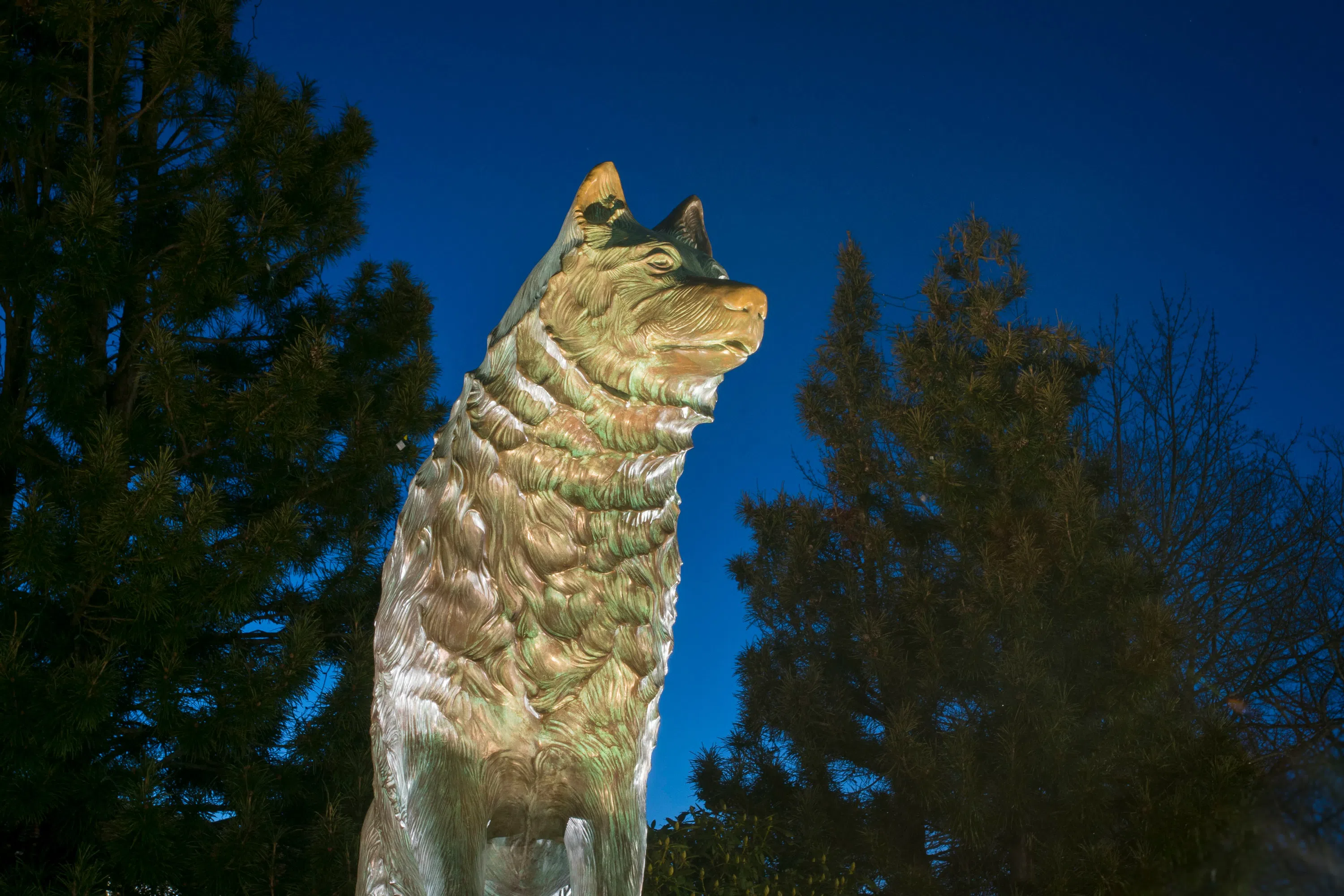 Photo of bronze statue of UConn mascot Jonathan the Husky