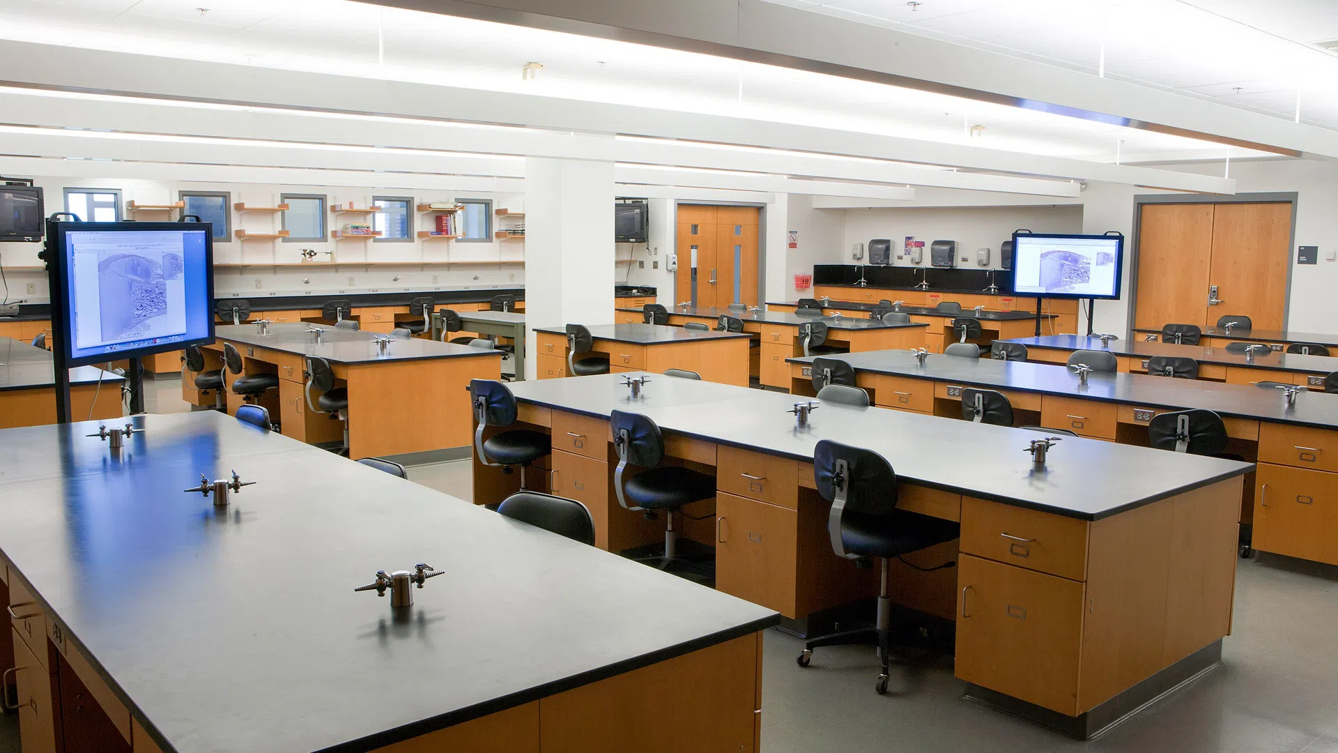 Laboratory in Alfond Center for Health Sciences