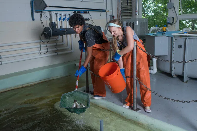 Two students in rubber fishing waders use a net put fish in a bucket