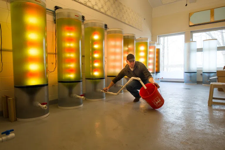 man kneeling filling a bucket