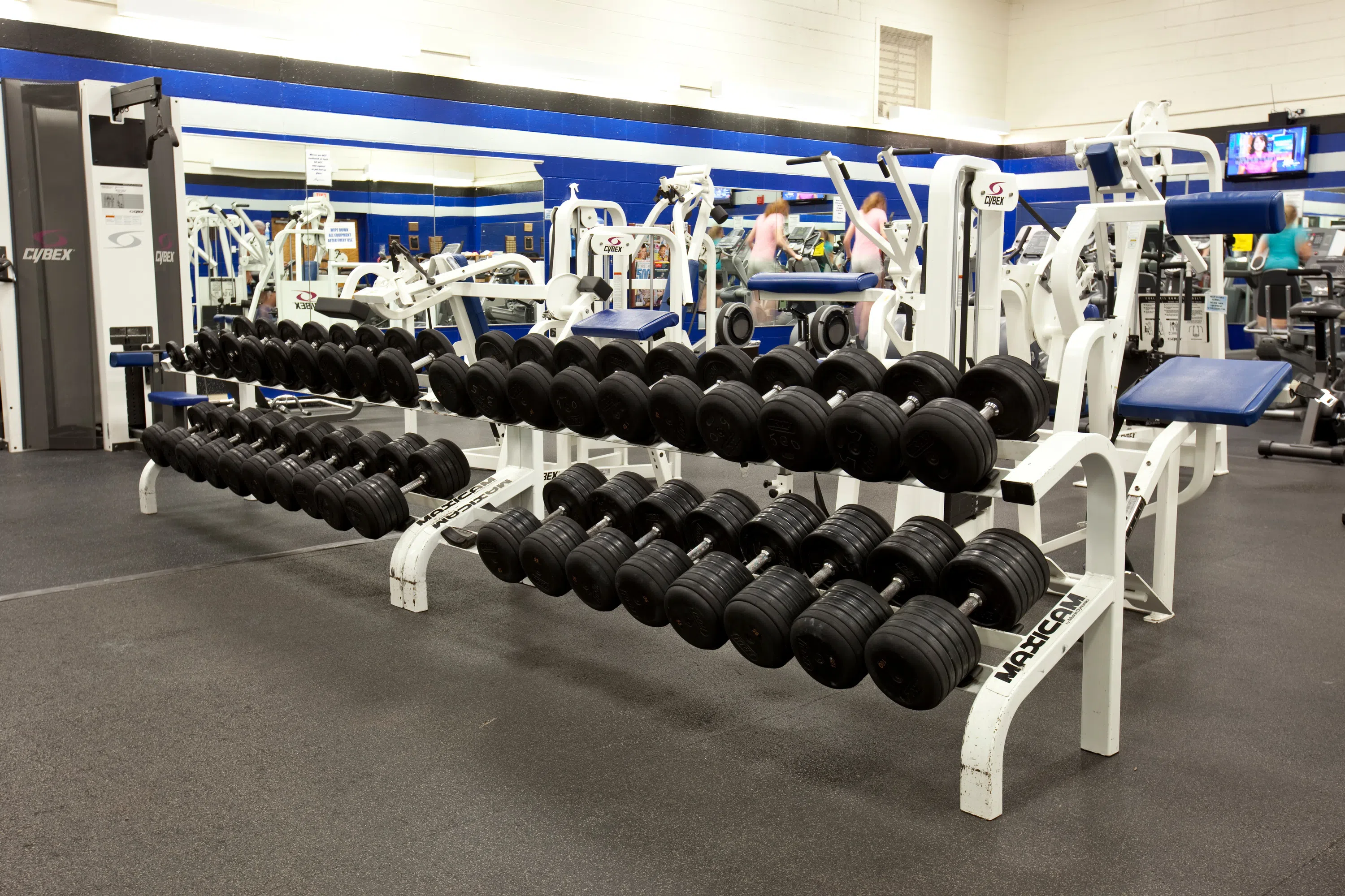 Rows of dumbbells in a fitness room
