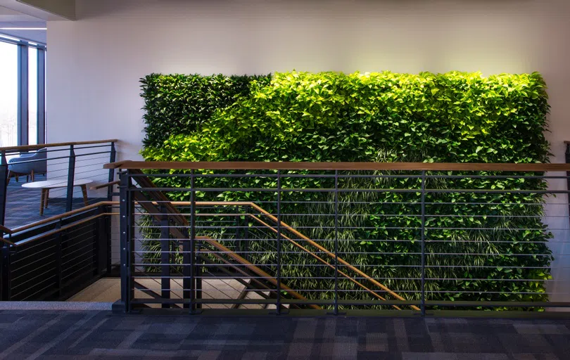 on the back wall of a room is a large wall covered in living plants. In front of the wall are stairs leading downstairs