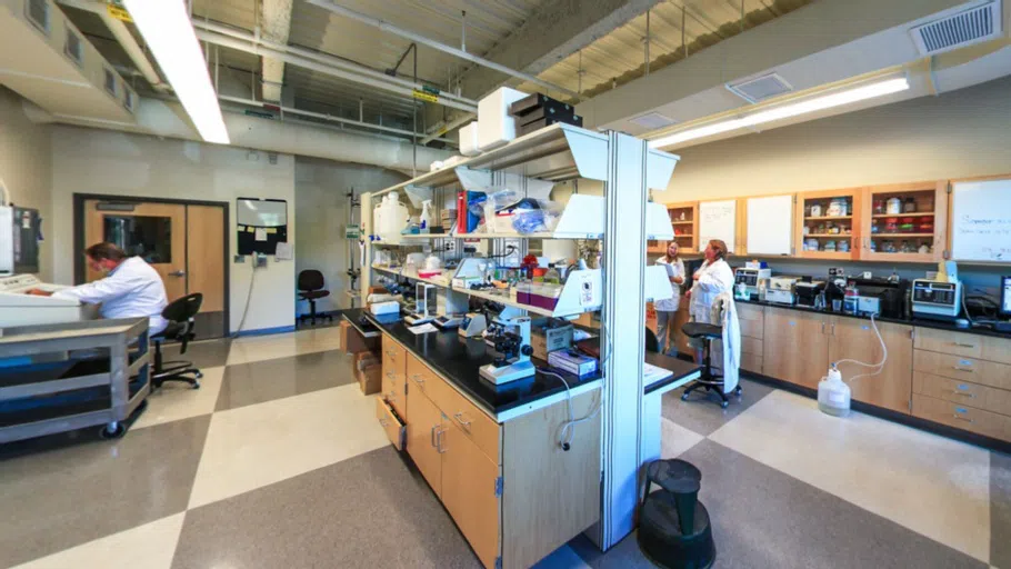 Lab inside Pickus Center for Biomedical Research