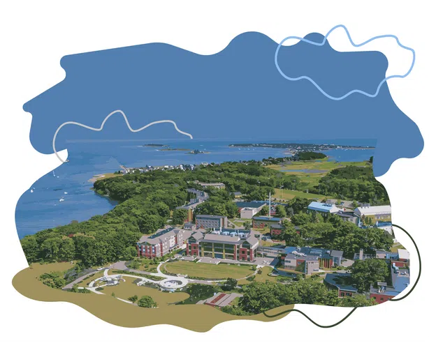 Aerial view of UNE's Biddeford Campus