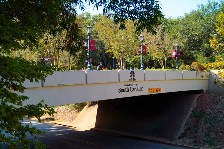 View of Pickens Street Bridge with pedestrian traffic in daylight