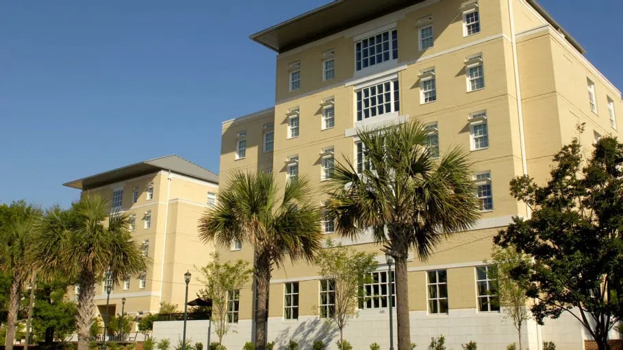 Palmetto trees in front of the Honors Residence