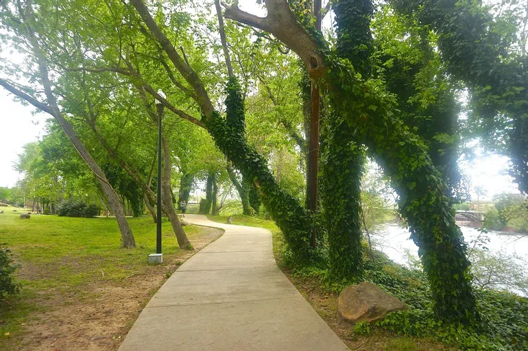 Concrete path, surrounded by trees, runs parallels to the river. 