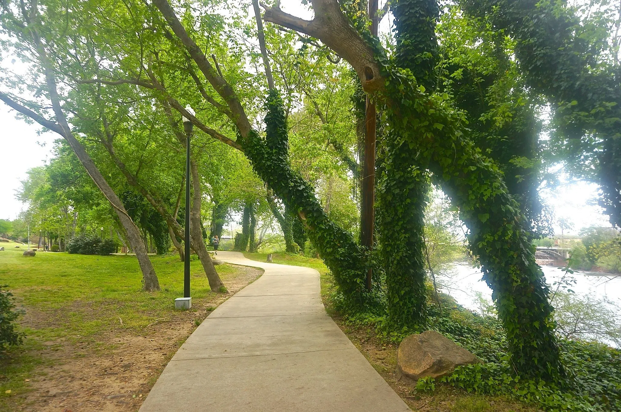 Concrete path, surrounded by trees, runs parallels to the river. 