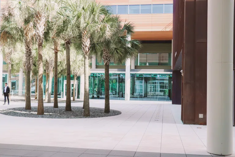 View of the Darla Moore School of Business Courtyard during the day