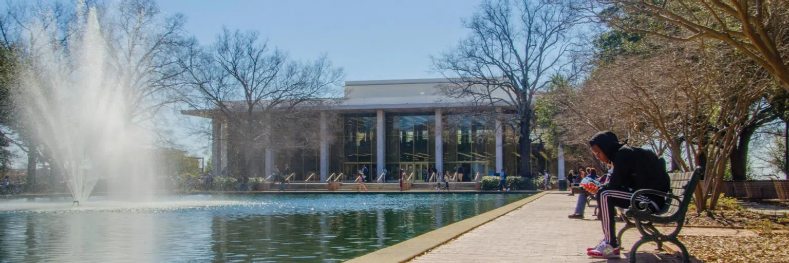 View of the Thomas Cooper Library and the reflecting pool