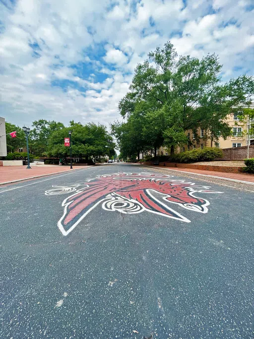 Greene Street with Gamecock