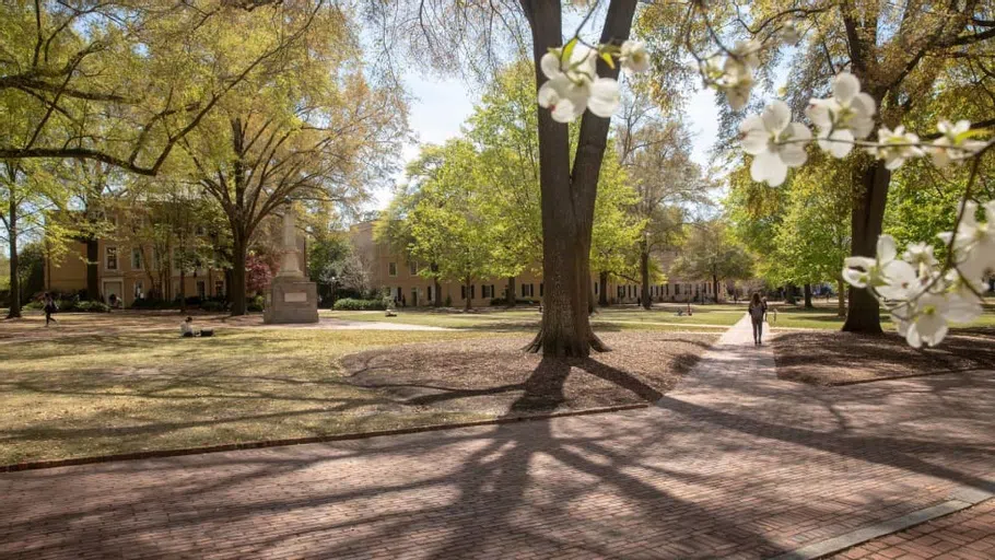 The Horseshoe with a white, flowering tree in the foreground