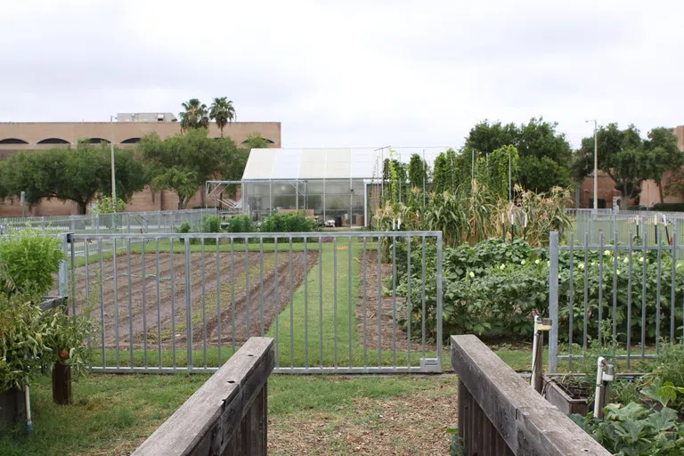 Agroecology Research Community Garden