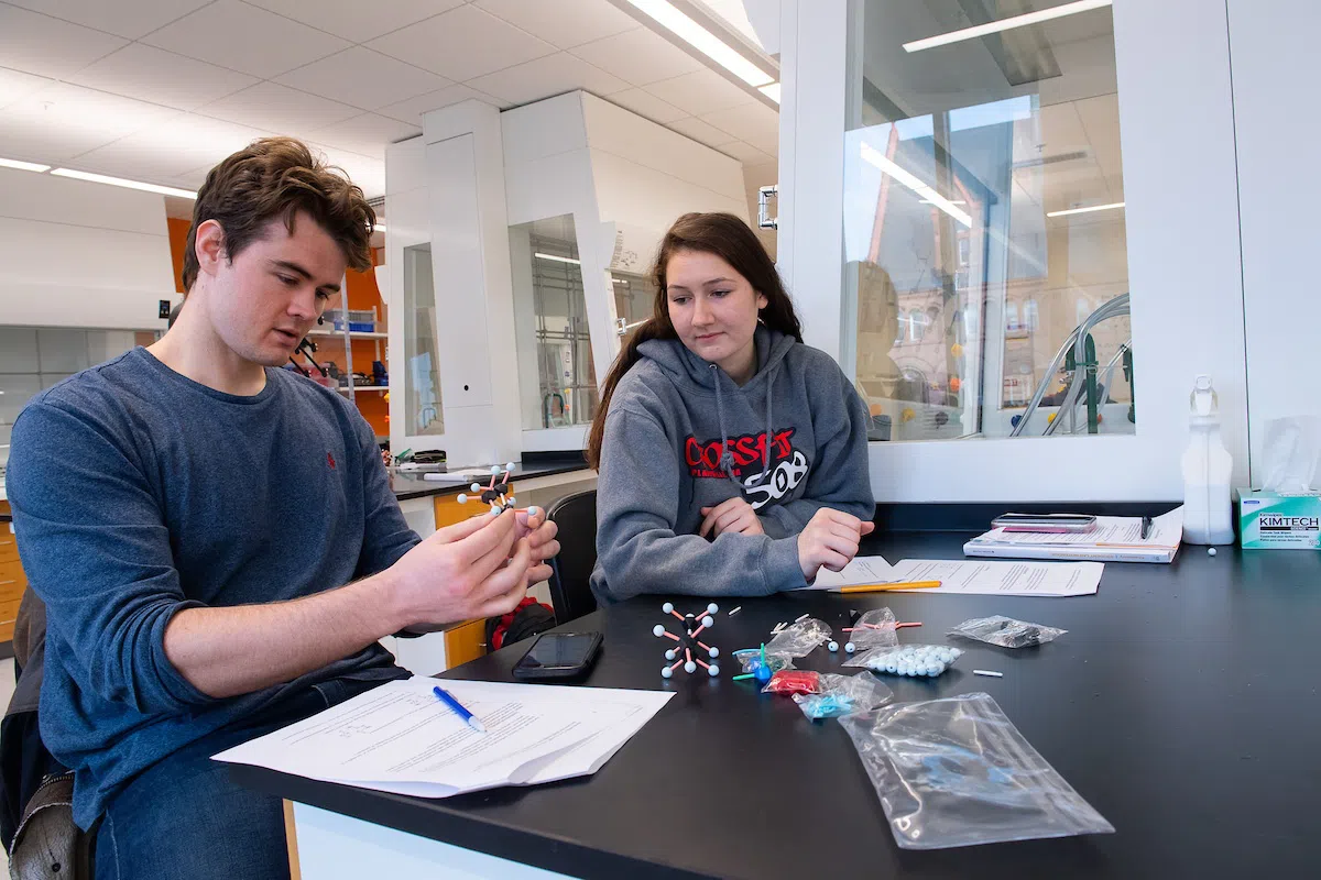 Two students working together on an organic chemistry class.
