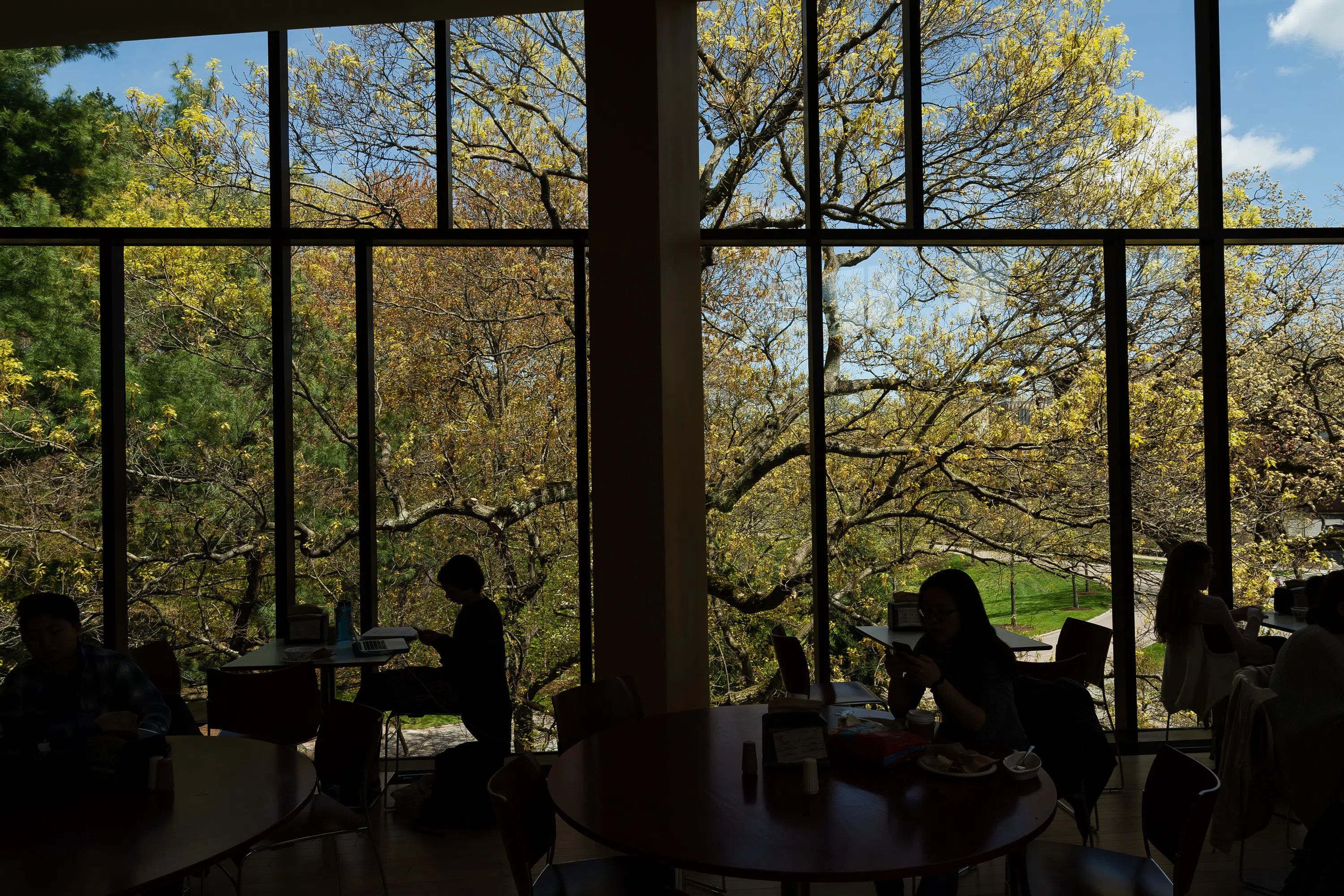The view from inside the Lulu Chow Wang Campus Center. 