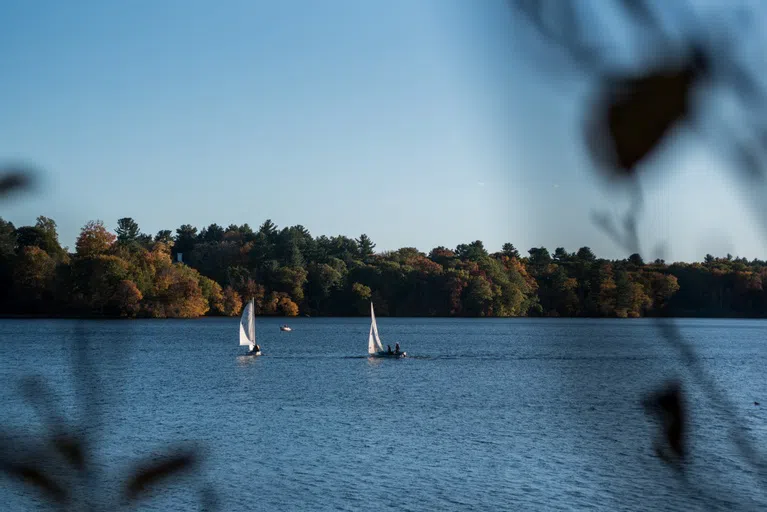 Students sailing out on Lake Waban