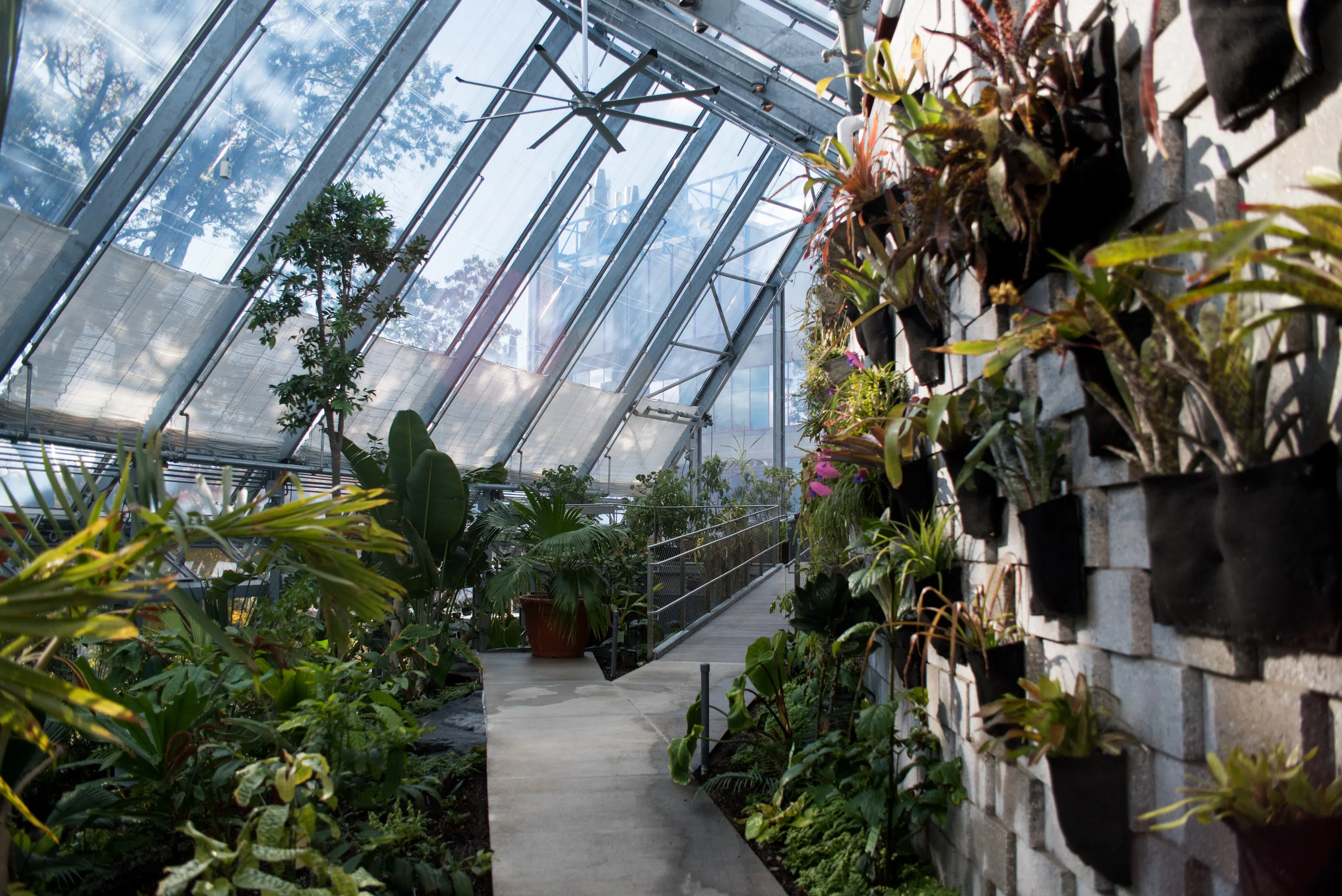 Inside the Global Flora Greenhouses 