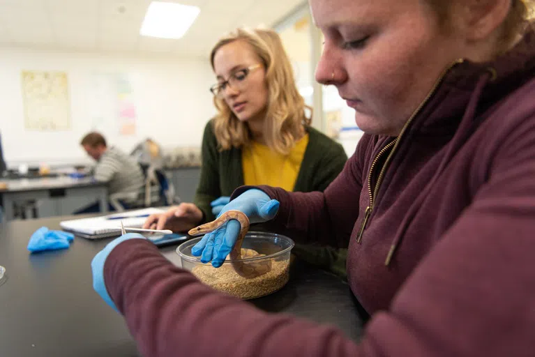 Take a step into the wild side by taking our Herpetology class!