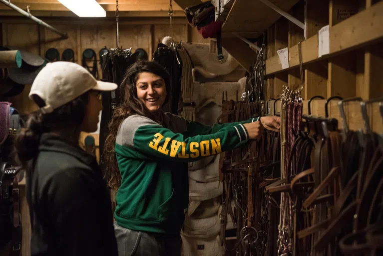 In addition to a major and minor in Equine Science, students interested in horses can also join the Horsemen’s Association, Equestrian Team, or Rodeo Team. 