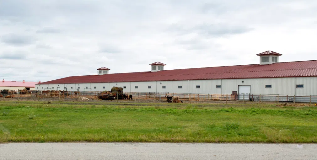 The NDSU Equine Center is situated on 14 acres of land within the North Dakota Horse Park and is the epicenter of the NDSU Equine Science Program.