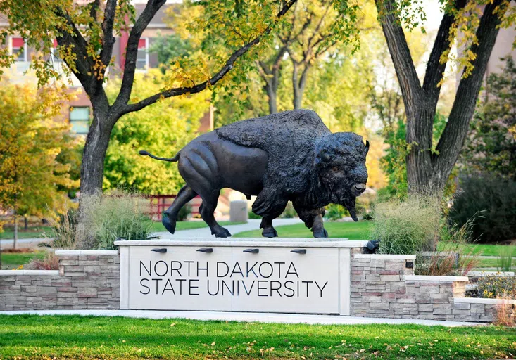 There is no bad side: the Bison Statue is the most photographed spot on campus, for good reason!