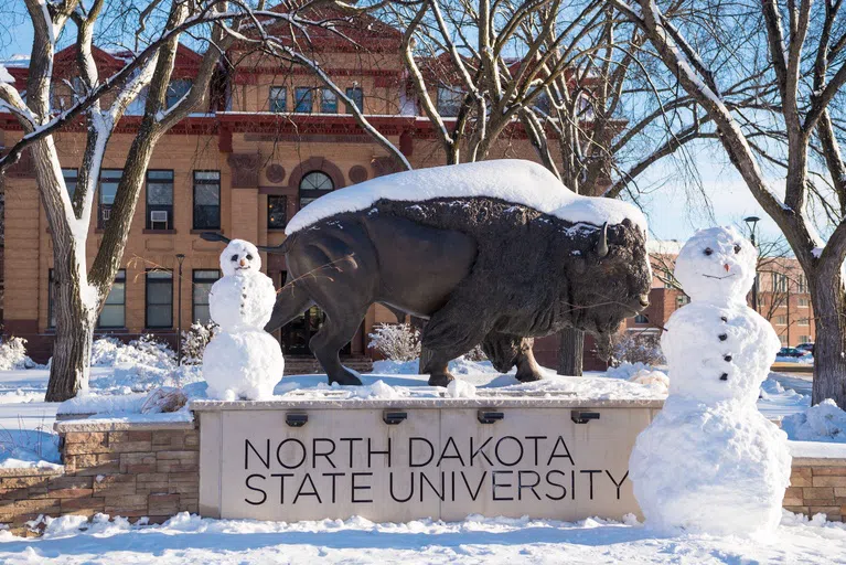 Winter or summer, spring or fall, the Bison Statue is picturesque in any season.