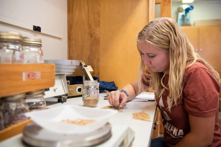 Classes are offered to a variety of people from the food industry such as pasta makers, bakers and commodity traders. 